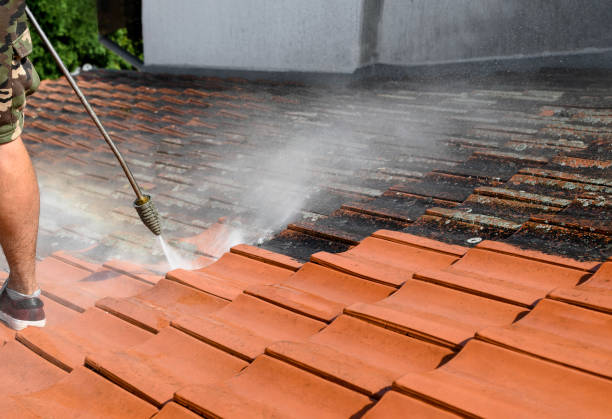 Best Pressure Washing Cost  in Harrogate, TN