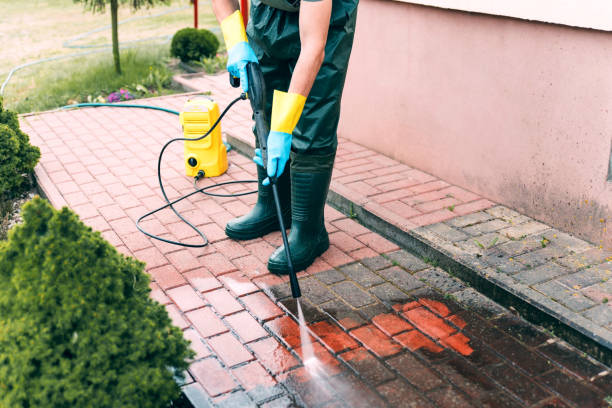 Best Affordable Power Washing  in Harrogate, TN