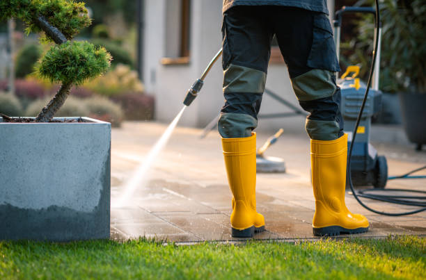 Best Roof Pressure Washing  in Harrogate, TN